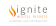 Ignite Medical Resort Albemarle logo