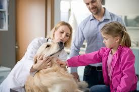 Freepetchipregistry™ is a participating pet recovery service registry for the aaha universal pet microchip lookup tool. Services