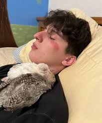 David Shawty music, stats and more