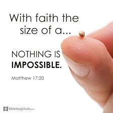 Faith The Size Of A Mustard Seed Faith Matthew 17 Lord Quote