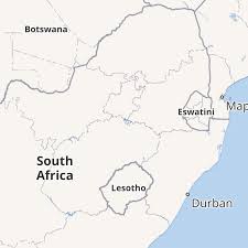 Image result for Afrosciadium rhodesicum