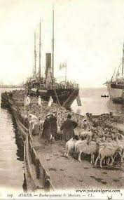 Alger Le Port Embarquement Des Moutons Vers La France Alger Photo Algerie Histoire Algerie