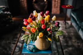 Yellow mustard is made by mixing yellow mustard powder with some sort of liquid, such as water, vinegar, wine or beer, along with salt and other spices. Best Artificial Plants For The Home 2021 London Evening Standard Evening Standard