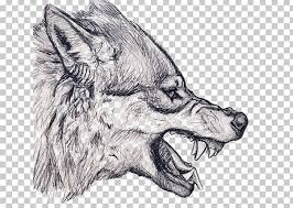 Anime growling wolf by falconflute on deviantart. Gray Wolf Drawings Png Free Gray Wolf Drawings Png Transparent Images 86108 Pngio