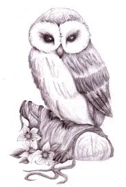 Check spelling or type a new query. Pencil Drawing Animal Images Animals Pencil Drawing