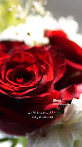 Be On Twitter You Look Like The Rest Of My Life Photographyksa