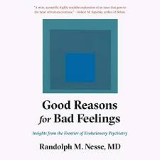 Good Reasons For Bad Feelings