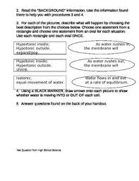 Biology Diffusion And Osmosis Worksheet Answer Key Osmosis And Diffusion Lab With Worksheet Osmosis Worksheets Teachers Pay Teachers