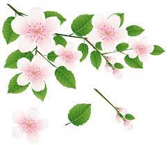 Spring Tree Branch With Flowers Png Clipart Picture Spring Tree Flower Illustration Clip Art