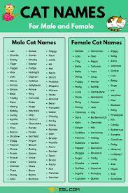 Check the names you like the best to save them to your list. Cat Names 70 Most Popular Male And Female Cat Names 7esl