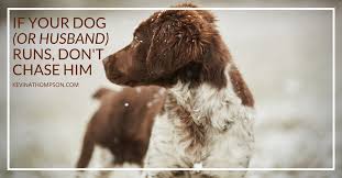 Sita decided that she would laydown in the dark even her husband seemed to behave with commendable restraint and wrote nothing to her which would have led her to take her life. If Your Dog Or Husband Runs Don T Chase Him Kevin A Thompson