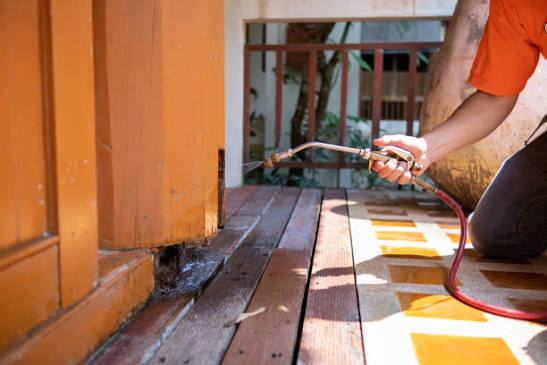 Termite pest control service