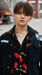 Seventeen current dorm arrangement (starting june woozi stage name: Pin On Wallpaper