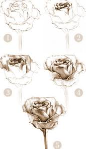 So Easy To Draw The Most Prefect Beautiful Rose Drawings Roses Drawing Drawing Techniques