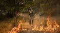 Spain's Government Responds to Escalating Wildfire Crisis with Rental Assistance