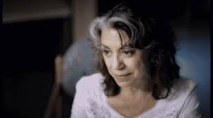 Vida Cast And Character Guide