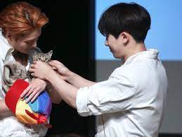 Monsta X Cat Monsta X Jooheon Cat Gucci Yoshi Monsta X Gucci Yoshi Cat Kitten Idol Pet Jooheon Monsta X Monsta X Wonho