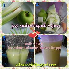 Layari www.doctoroncall.com untuk mengenali manfaatnya dengan lebih. Badan Sihat Hati Ceria Jus Saderi Dan Epal Hijau Untuk Turunkan Bacaan Darah Tinggi