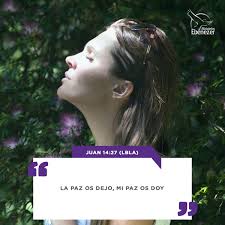 No se turbe vuestro corazón; creed en Dios" #MinisteriosEbenezer  #SomosEbenezer #EbenezerGt #DailyVerse #VersículodelDía