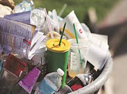 Eliminating Single Use Plastics Easier Said Than Done Say Experts Business Standard News