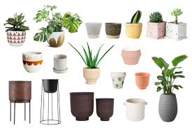 View our full range of indoor & outdoor plants, pots, accessories & care guides. Where To Buy Plant Pots In Singapore The Tender Gardener