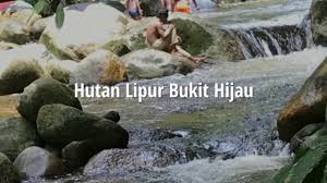 Pejabat hutan daerah kedah tengah 08000 sungai petani tel : Jalan Jalan Tempat Menarik Di Kedah Malaysia Truly Asia Hutan Lipur Bukit Hijau Youtube