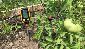 Thumbnail image for 豊作を確保するための監視（および改善）Garden SPC - Minitab Blog