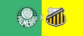 Видео gol do palmeiras hoje !!! Palmeiras X Novorizontino Premiere Faz A Transmissao Do Jogo Ao Vivo Hoje As 21h