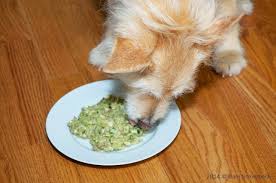 Recipe For Low Phosphorus Dog Food Caring For A Dog With