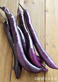 carol 自在生活 茄子食譜集合 eggplant recipe chinese food eggplant food