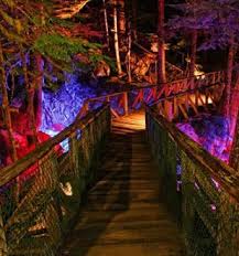 Seattle City Light Skagit Tours Dam Good Chicken Dinner Ladder Creek Falls By Night Seattle City Places To See Tours