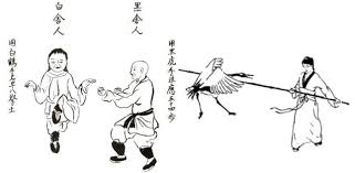 He is a member of the furious five as well as one of master shifu's students at the jade palace. Fujian White Crane Wikipedia