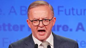 Anthony Albanese faces a national conference showdown as Labor's  Environment Action Network campaign gains momentum.