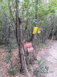 Λαυρα κατουνακια δανιηλαιοι μικρα αγια αννα. Agio Oros Nea Skhth Ag Anna Katoynakia Kerasia Ag Anna Diadromh Nea Skiti Mount Athos Greece Gps Track