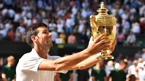 Evo zašto noleta kolege zovu plastični (foto); Wimbledon Djokovic Ver A Mi Hijo En El Palco Lo Hace Extraespecial