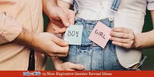 We did not find results for: 25 Non Explosive Gender Reveal Ideas