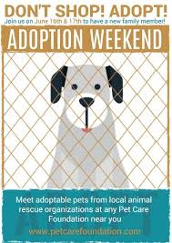How To Design A Pet Adoption Poster Click For More Pet Adoption Pets Adoption
