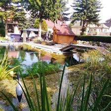 Schwimmteich Bei Halle An Der Saale Mielke S Naturbadeteich Schwimmteich Naturschwimmbecken Teich