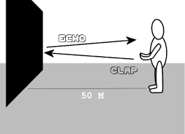 وكالة الرأي الفلسطينية ما هو الشي الذي يتكلم جميع لغات العالم