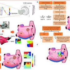 Ascensión y caída de ricardo salgado» llega en el momento oportuno. Nicasio Perez Castellano S Research Works Complutense University Of Madrid Madrid Ucm And Other Places