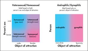 Overview Of Sexual Orientations Sexinfo Online