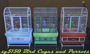 Before taking the plunge, learn about the best pet birds that will make a great addition to your home, from parakeets to cockatoos. More Kinds Of Small Pets Spiders Snakes Birds The Sims Forums