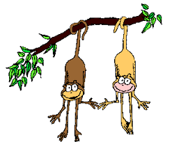Image result for monkey picture cartoon