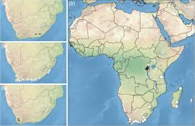 Image result for Asterochaete