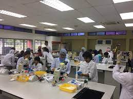 Assalamualaikum w.b.t, disebabkan terlampau banyak request dan persoalan tentang cos sains biomolekul so tiey create this entry dengan tulus ikhlas agar ia dapat membantu saudara dan saudari. Galeri Fakulti Bioteknologi Dan Sains Biomolekul