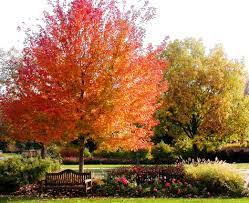 We did not find results for: Fall At Boerner Botanical Gardens Botanical Gardens Wedding Info Farmland