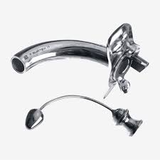 Image result for Trachypogon chevalieri