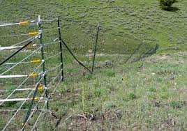 A fence post can lean for one of several reasons, and the repair sometimes isn't much of a hassle at all. 0424 2838 Mtdc Fencing Out Wildlife Plastic Mesh Fences And Electric Fences Monitored By Satellite Telemetry