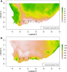 Now this does not mean a rainforest. Latitude Paleo History And Forest Size Matter For Afromontane Canopy Beetle Diversity In A World Context Springerlink