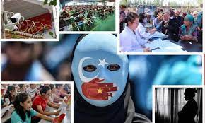 Anatomical Analysis of The Independent Report about the &quot;compulsory  sterilization&quot; and &quot;genocide&quot; of Uyghurs in Xinjiang by Adrian Zenz -  Global Times